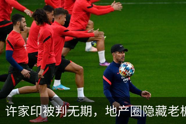 许家印被判无期，地产圈隐藏老板心慌意乱